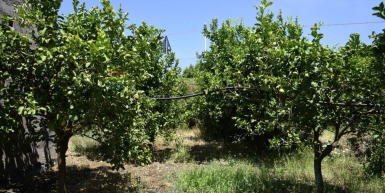 20250714105013-965779-3