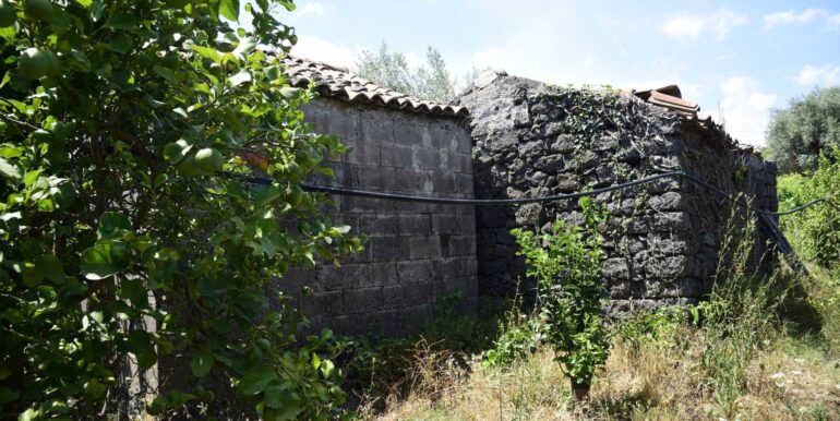 20250714105018-965779-4