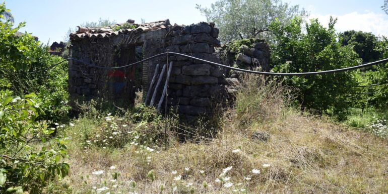 20250714105022-965779-5