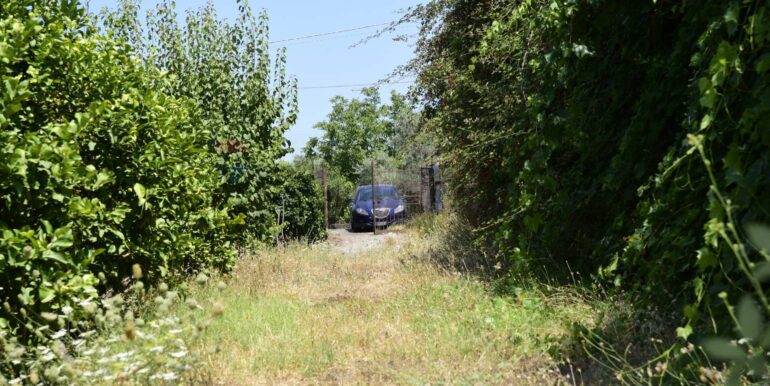 20250714105109-965779-18