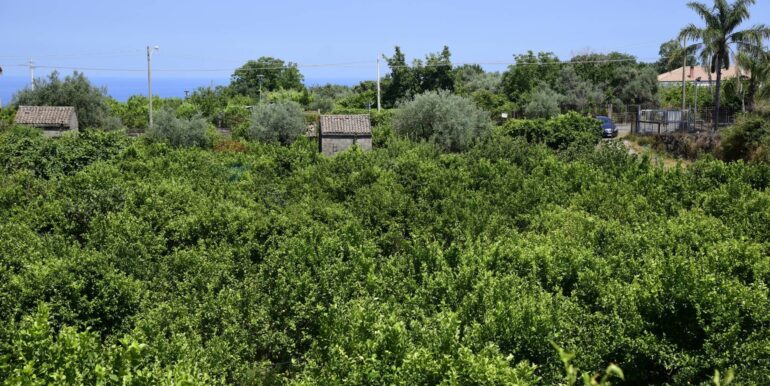 20250714105255-965779-49