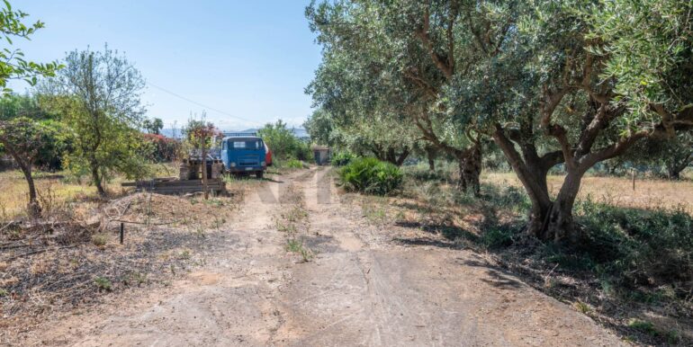 20250714194806-964229-19