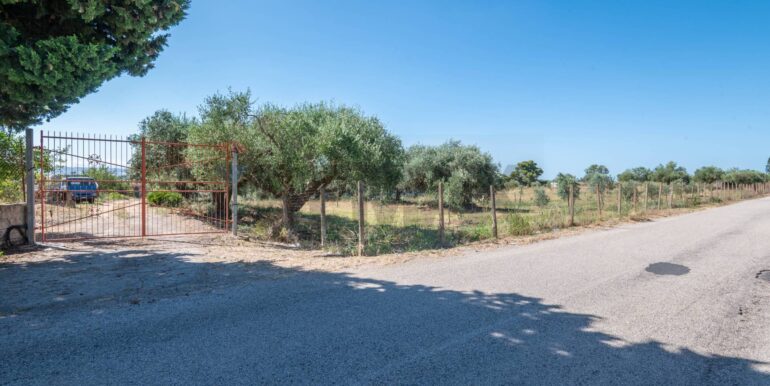 20250714194810-964229-20