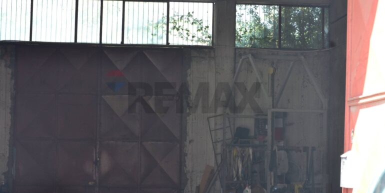 20250715100639-966827-5