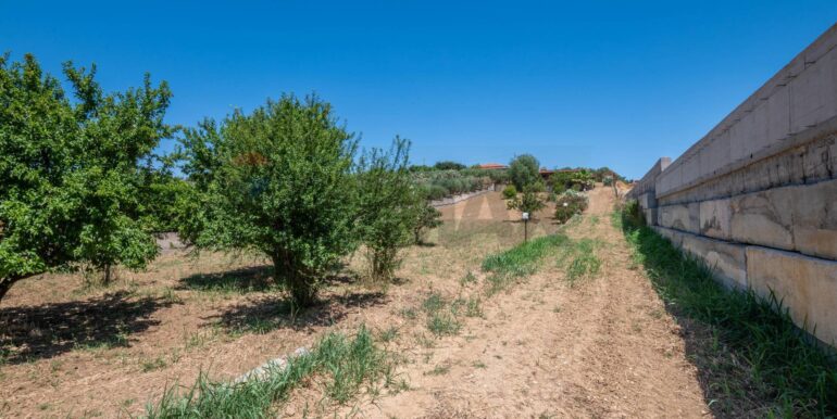 20250715113543-966786-1