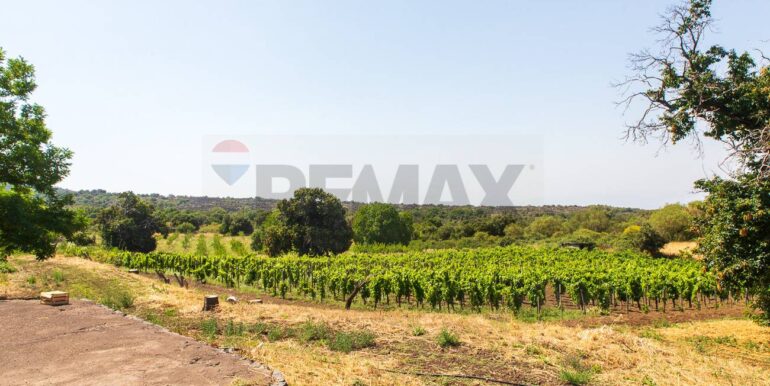 20250717164155-968638-3