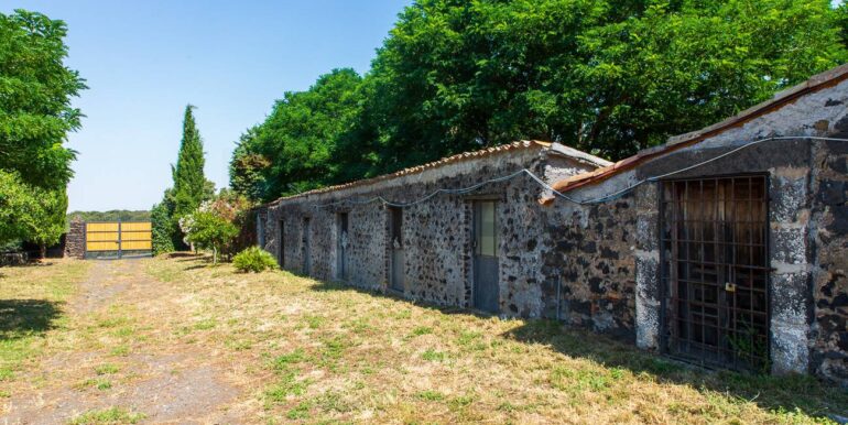 20250717164200-968638-4