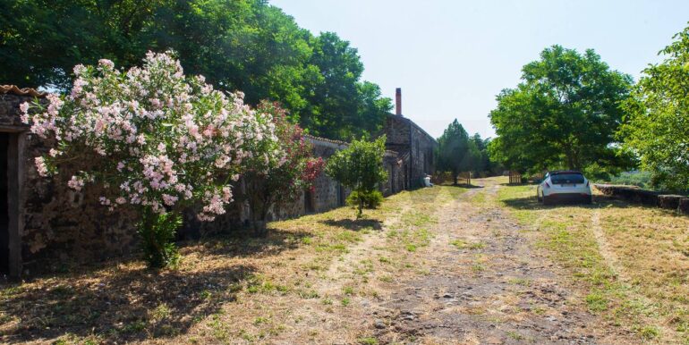 20250717164205-968638-5