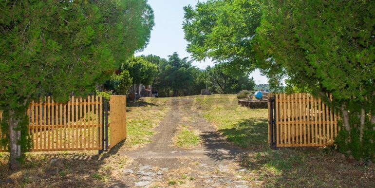 20250717164220-968638-8