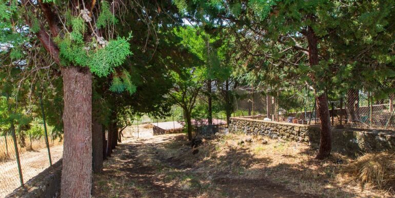 20250717164255-968638-16