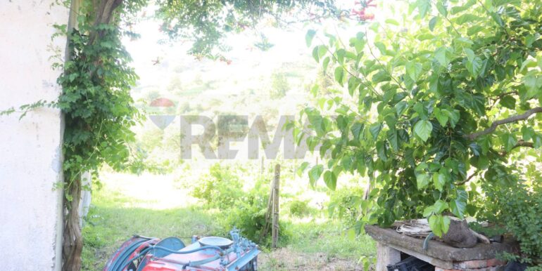 20250718194850-969370-2