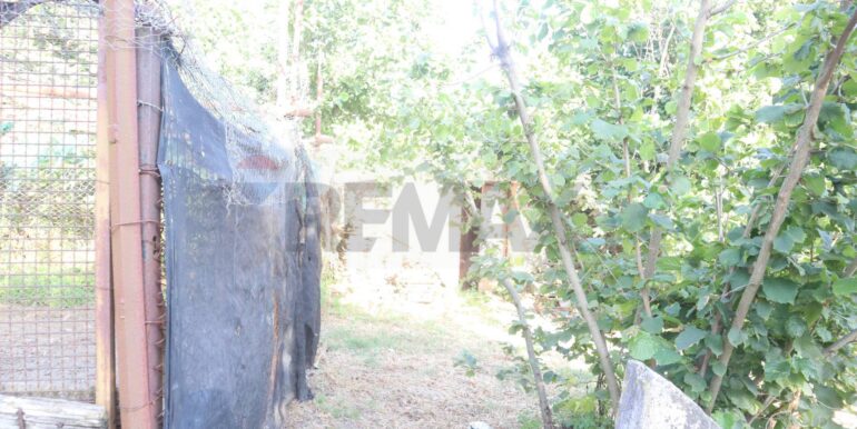 20250718194904-969370-6