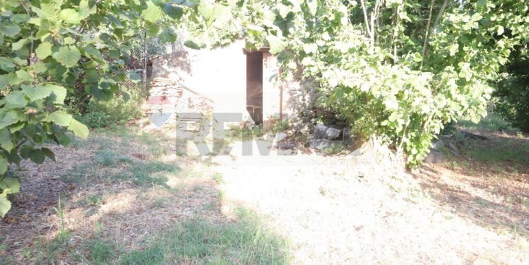 20250718194916-969370-9