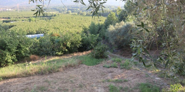 20250718194937-969370-15