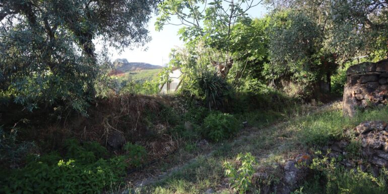 20250718194951-969370-19