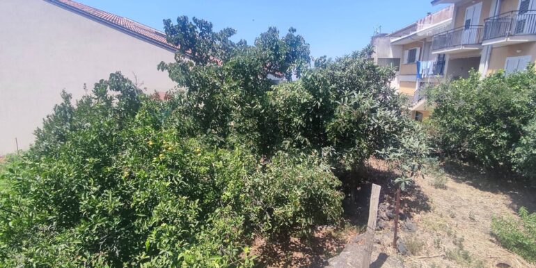 20250720163513-969433-5