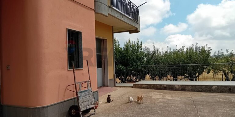 20250721122926-969508-9