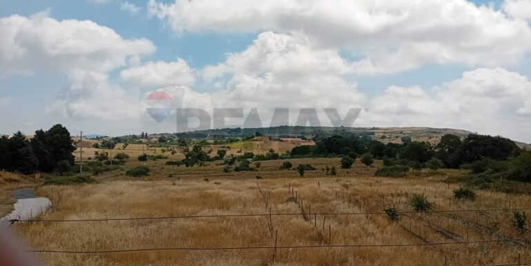 20250721123057-969508-24