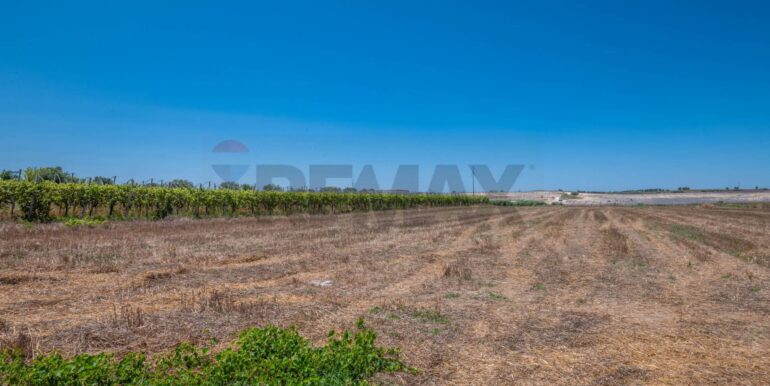 20250721173051-910405-13