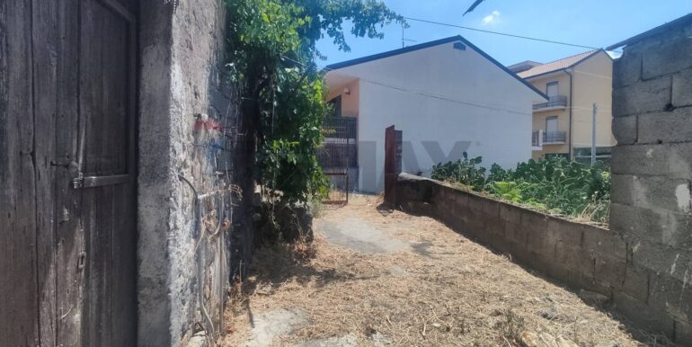 2025072281006-969736-8