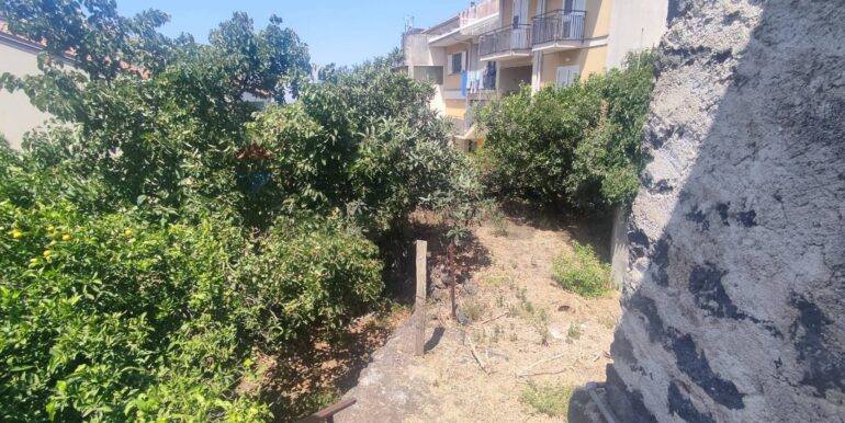 2025072281009-969736-9