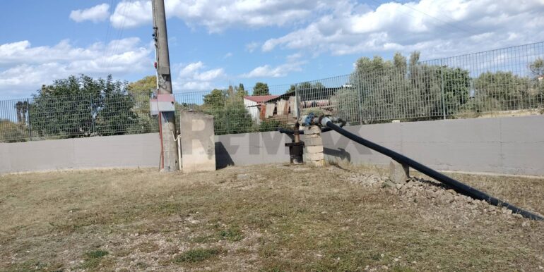 20250723124524-971183-1