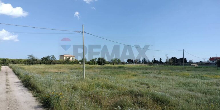 20250723124542-971183-5