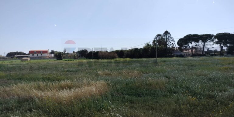 20250723124555-971183-9