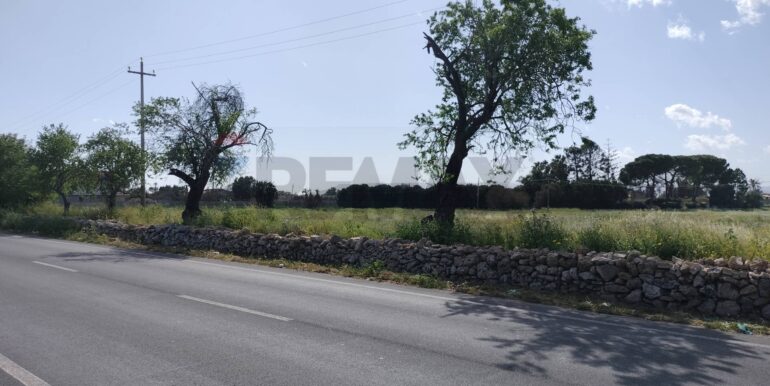 20250723124617-971183-16