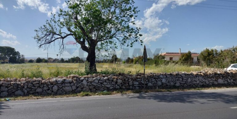 20250723124621-971183-17