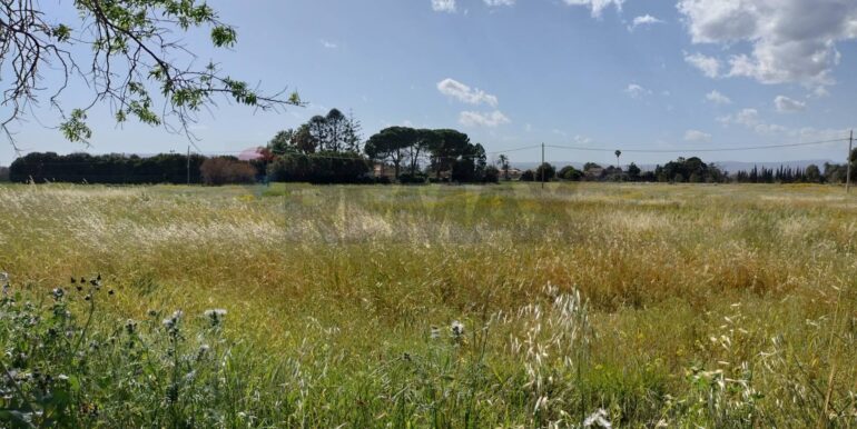 20250723124625-971183-18