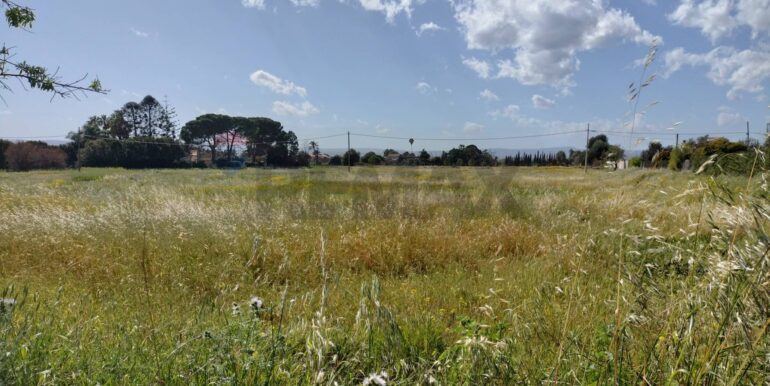 20250723124629-971183-19