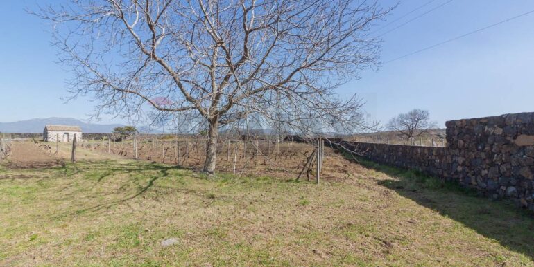 2025072492817-971313-0