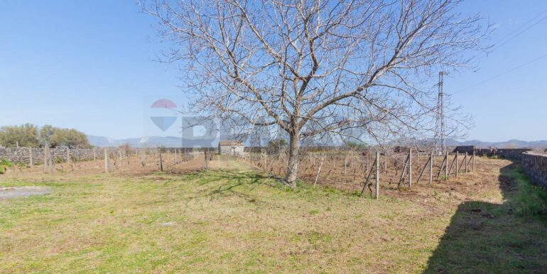 2025072492817-971313-1