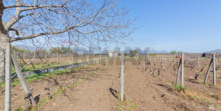 2025072492817-971313-2