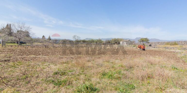 2025072492817-971313-3