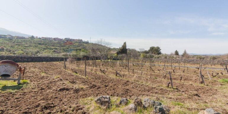 2025072492818-971313-4