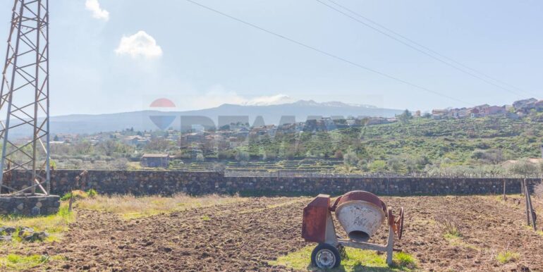 2025072492818-971313-5