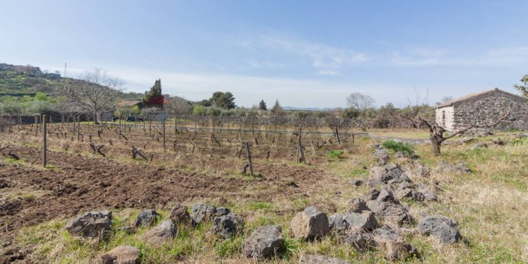 2025072492818-971313-6