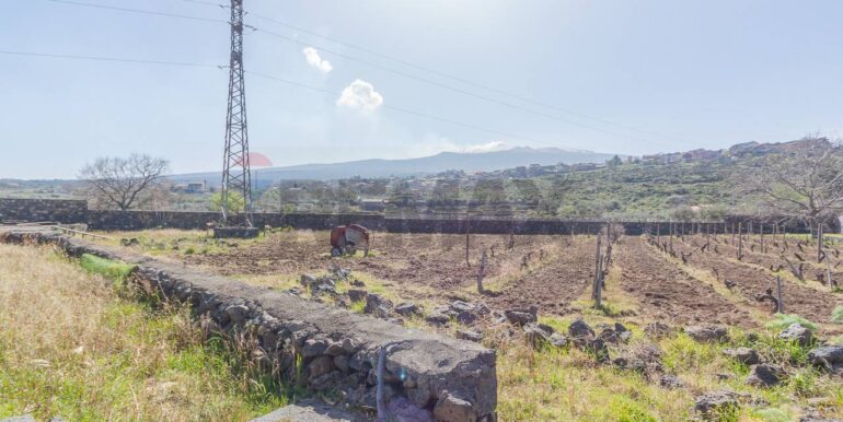 2025072492818-971313-7