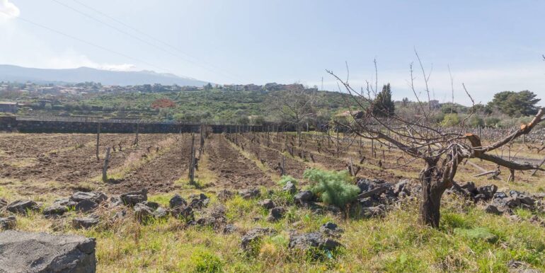 2025072492818-971313-8