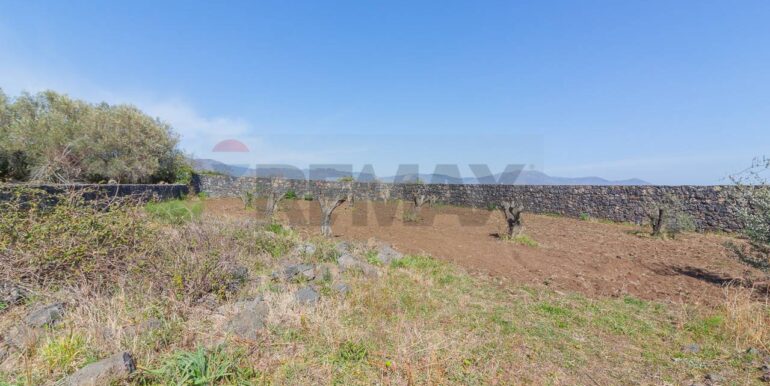 2025072492819-971313-10