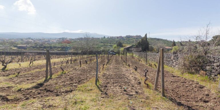 2025072492819-971313-11