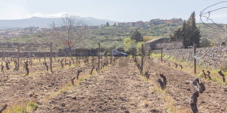 2025072492819-971313-12