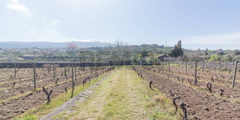 2025072492819-971313-14