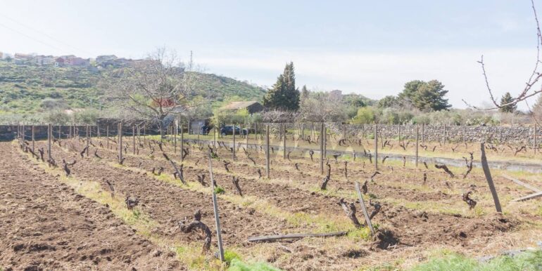 2025072492819-971313-9