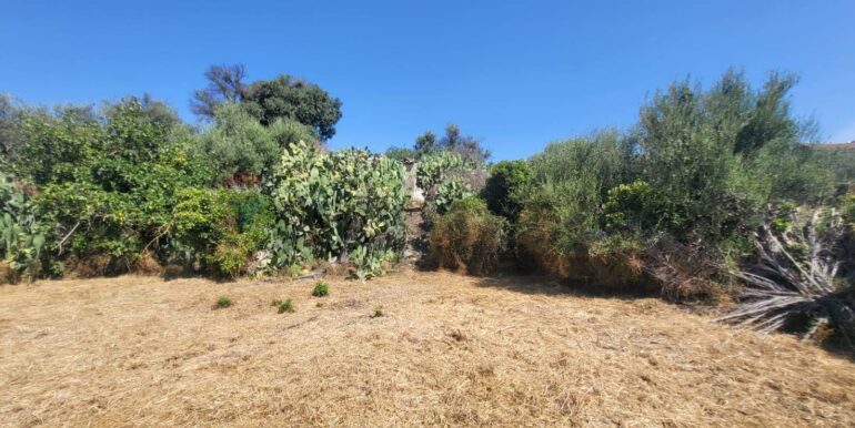 20250729163907-972354-3