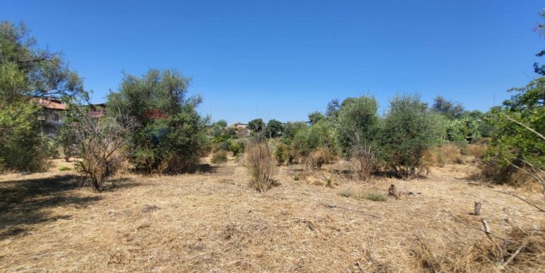 20250729164019-972354-4