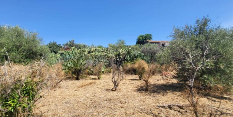 20250729164026-972354-7