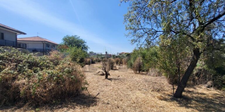 20250729164033-972354-9